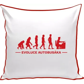 Polštář Polštář barevný 32x32 cm Evoluce - autobusák