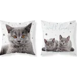 Detexpol Povlak na polštářek 40 x 40 cm…