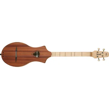 Strunný nástroj Seagull M4 Natural Mahogany SG + prodloužená záruka 3 roky