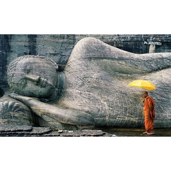 Plakát Plakát, Obraz - Buddhist Monk at the Gal Vihara. Sri Lanka, Hugh Sitton