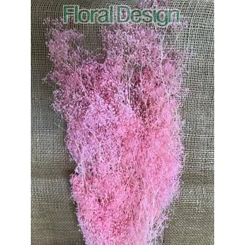 Gypsophila mini 100gr. světle růžová stabilizovaná