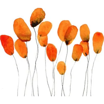 Plakát Plakát, Obraz - Cluster of orange flowers against white background, Yifei Fang