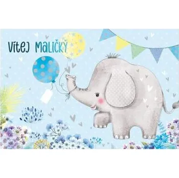 MFP přání k narození miminka CN-827 PRANI_W_C0403