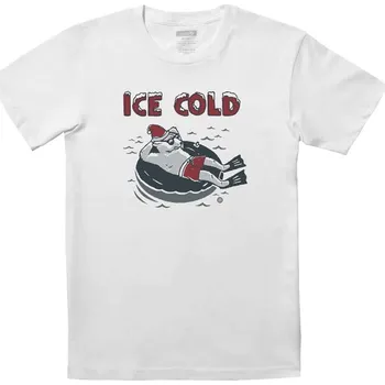 Pánské tričko Tričko Stance Ice Cold SS white XL 2024 - Odesíláme do 24 hodin
