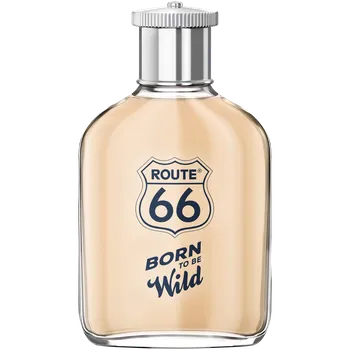 Recenze Route 66 Born To Be Wild M EDT Pánský parfém Recenze Route 66 Born To Be Wild M EDT