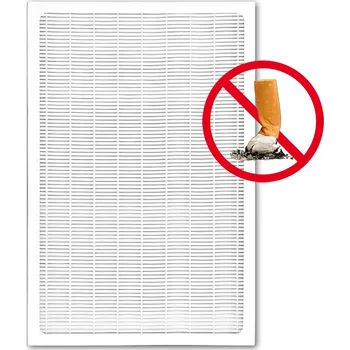 Příslušenství pro čističku vzduchu Filtr pro kuřáky do čističky vzduchu s ionizátorem Comedes LR 200 (2v1: HEPA, uhlíkový)