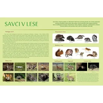 Naučná tabule savci