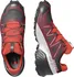 Pánská běžecká obuv Salomon Speedcross 5 GTX L41612500