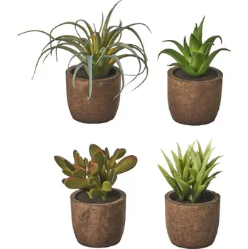 umělá květina Umělé rostliny v sadě 4 ks (výška 10 cm) Cactus – Casa Selección ID_1554286
