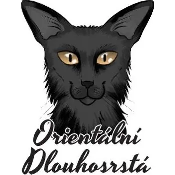 Samolepicí dekorace na vozidlo Samolepka na auto ORIENTÁLNÍ DLOUHOSRSTÁ