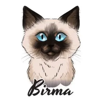 Samolepicí dekorace na vozidlo Samolepka na auto BIRMA