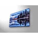 Wallity Obraz s LED osvětlením 45 x 70…