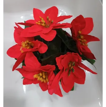 Vánoční dekorace Vánoční hvězda v obalu 5 květů