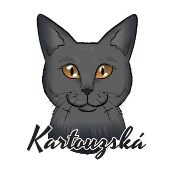 Samolepicí dekorace na vozidlo Samolepka na auto KARTOUZSKÁ