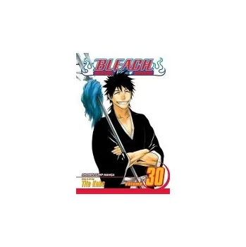 Cizojazyčná kniha Bleach, Vol. 30 - Kubo, Tite