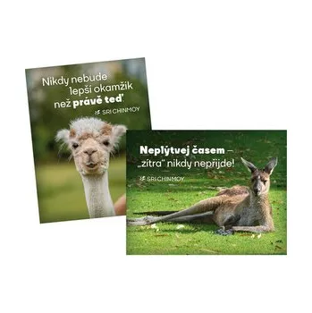 Dekorativní magnet magnety na lednici Neplýtvej časem + Nikdy nebude - Chinmoy Sri