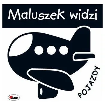 První čtění Maluszek widzi. Pojazdy - praca zbiorowa