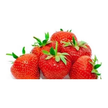 Přisada na vaření a pečení Ochucovací pasta Jahoda (200 g) - Joypaste