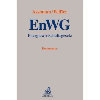 Energiewirtschaftsgesetz - Assmann, Lukas