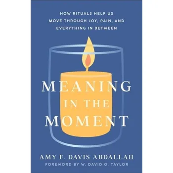 Meaning in the Moment - How Rituals Help Us Move through Joy, Pain, and Everything in Between - Davis Abdallah, Amy F.