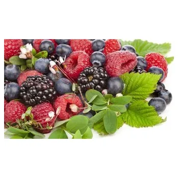 Ochucovací pasta Lesní plody (200 g) - Joypaste