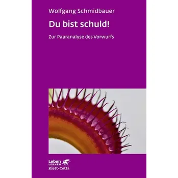 Du bist schuld! - Schmidbauer, Wolfgang
