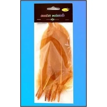 Set školních potřeb Piórka twarde jasnobrązowe 10szt