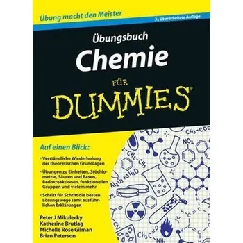 Příroda Übungsbuch Chemie für Dummies - Mikulecky, Peter J.