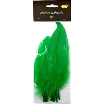 Set školních potřeb Piórka twarde zielone 10szt