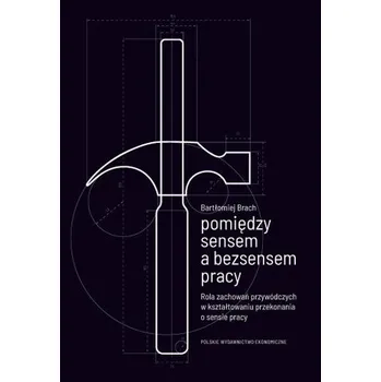 Pomiędzy sensem a bezsensem pracy. Rola zachowań przywódczych w kształtowaniu przekonania o sensie pracy - Brach Bartłomiej