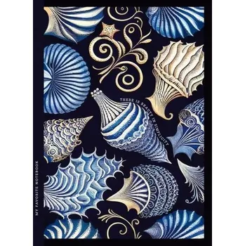 Set školních potřeb Notatnik ozdobny 143x200/64K kratka TW Muszle