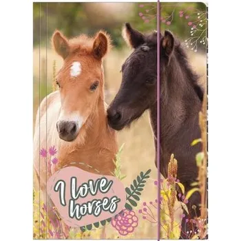 Set školních potřeb Teczka z gumką A4 Konie 24 DERFORM