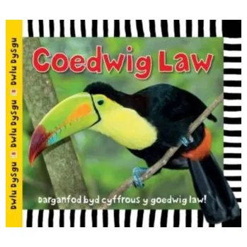 Příroda Cyfres Dwlu Dysgu: Coedwig Law - Powell, Sarah