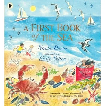 Kniha A First Book of the Sea - Nicola Davies
