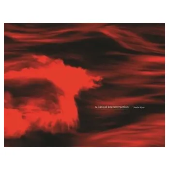 Umění A Casual Reconstruction