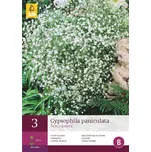 JUB Holland Šater latnatý nevěstin…