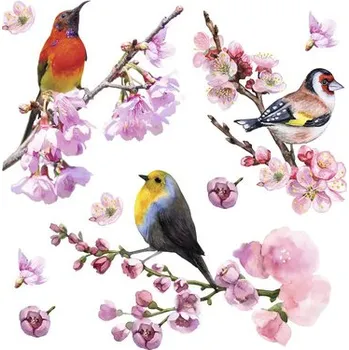 Samolepící dekorace Samolepka na zeď ptáci