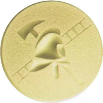 Emblém hasič, pr. 25 mm, zlato