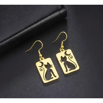 Náušnice Náušnice z chirurgické oceli, kočka s měsícem