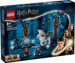 LEGO Harry Potter 76432 Zapovězený les:…