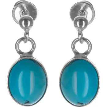 Náušnice Argento 63746 Stříbrné náušnice