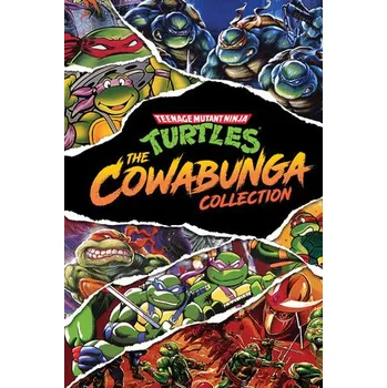 Počítačová hra Teenage Mutant Ninja Turtles: The Cowabunga Collection PC