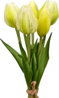 Harasim Kytice tulipánů 5 ks 21,5 cm bílá