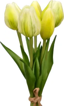 Umělá květina Harasim Kytice tulipánů 5 ks 21,5 cm bílá