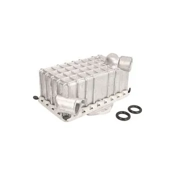 Chladič motoru Chladič oleje MERCEDES E250 Diesel | 2.5 D | 2497ccm | Diesel | 110kW | OM605.962 |1995-2003| SRL | 5901532294804