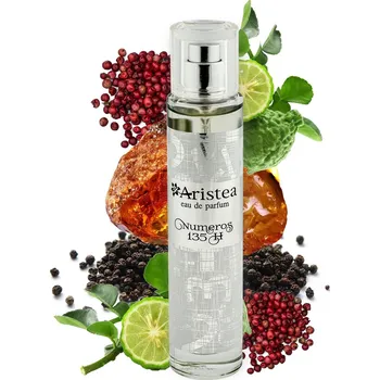 Pánský parfém Aristea Numeros 135 H parfémová voda pánská 50 ml