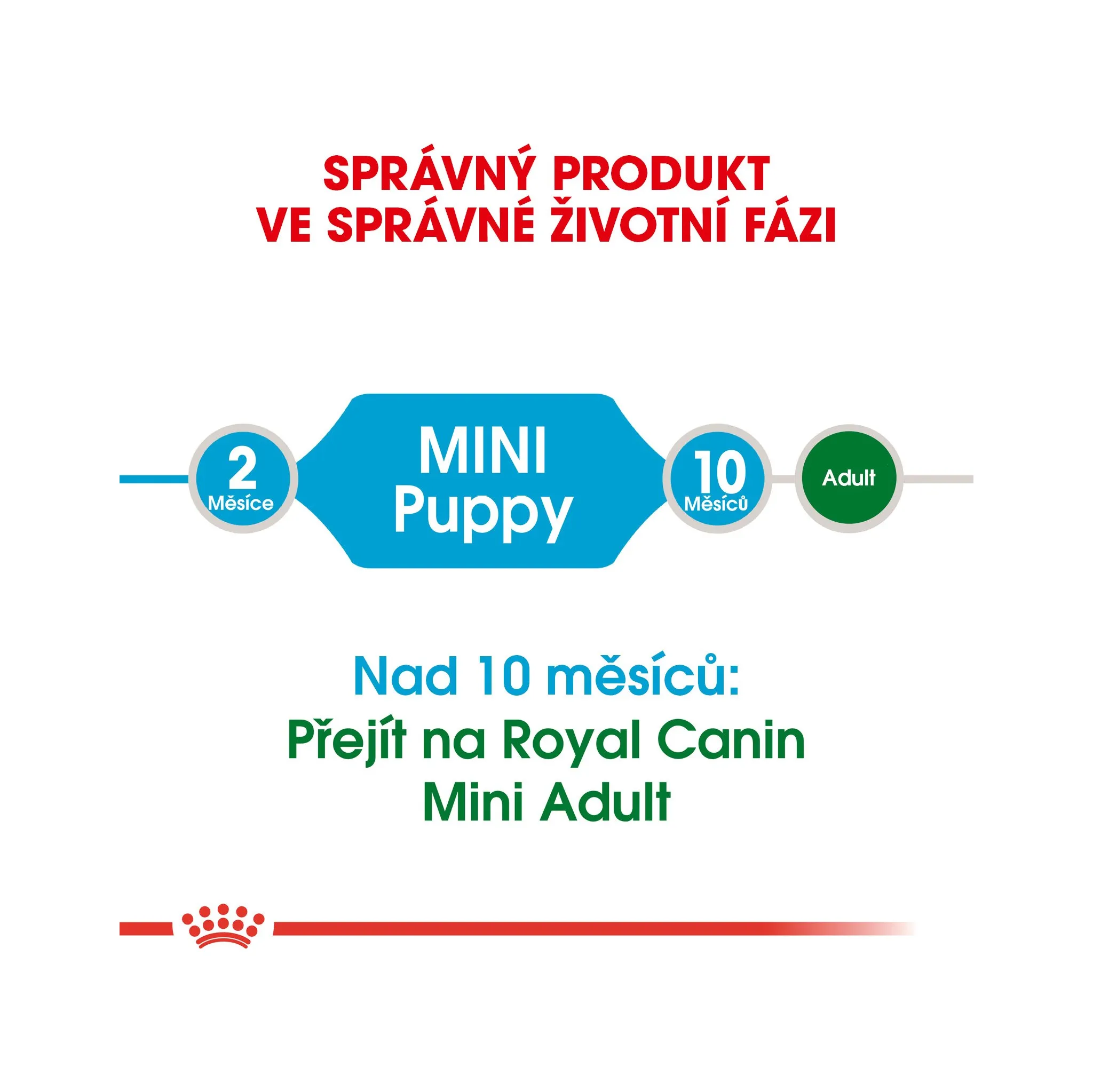 Fotografie 4 - Krmivo pro psa Royal Canin Mini Puppy 8 kg