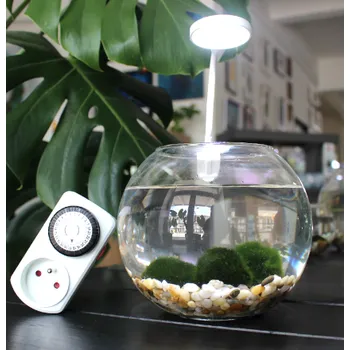 Akvárium Kompletní set řasokoule střední 2,1 l