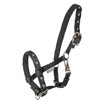 Ohlávka hříběcí Comfort Waldhausen, černá