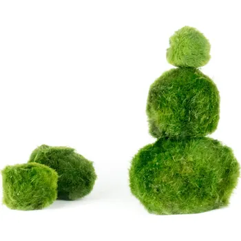 Gardners Řasokoule zelená - Zachraň Kytku Cladophora Aegagropila